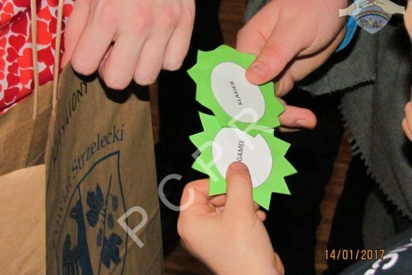 pcpr-bal2017-13401EA4AD-F74D-5228-0003-63700C512215.jpg