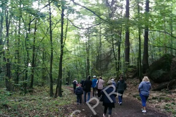 pcpr2019kzdroj-659F6B63B-5AF7-B4A4-9132-D8D4391B906B.jpg
