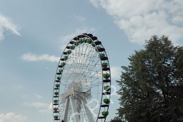 pcpr2018srzps-3F5FFE367-11D9-8F4E-6263-A88B877BF4CC.jpg