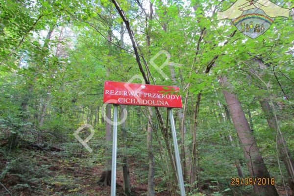 pcpr2018pokrzywna-103220A98F-ED4A-C3F0-AFED-A1508C32B38B.jpg