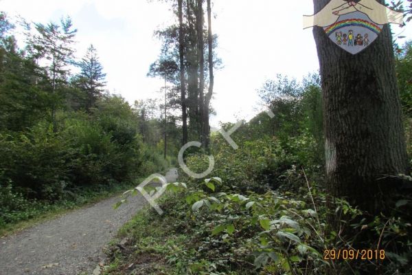 pcpr2018pokrzywna-327857EEC0-C721-8E11-9ECE-E445DCBFBA20.jpg