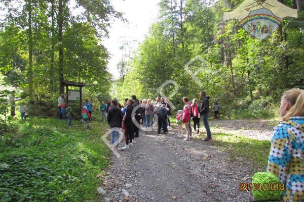 pcpr2018pokrzywna-351F5D5C82-6E46-6051-6677-1149CCFFE485.jpg